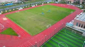 什么是“决策树”思维？在复杂牌局中如何排除错误选项。（决策树式思维：在复杂牌局中高效排除错误选项）